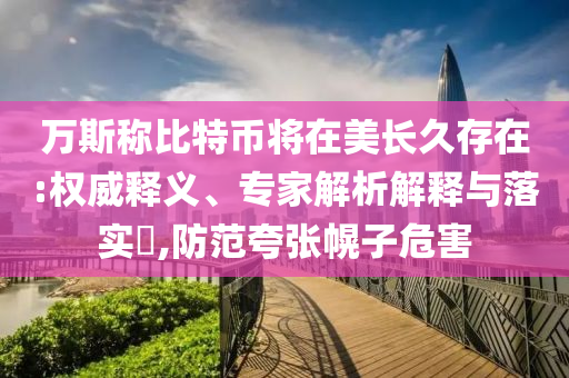 萬斯稱比特幣將在美長久存在:權威釋義、專家解析解釋與落實?,防范夸張幌子危害