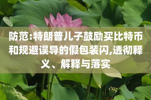 防范:特朗普兒子鼓勵買比特幣和規避誤導的假包裝閃,透徹釋義、解釋與落實