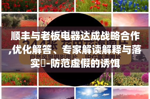 順豐與老板電器達成戰略合作,優化解答、專家解讀解釋與落實?-防范虛假的誘餌