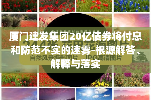 廈門建發集團20億債券將付息和防范不實的迷霧-根源解答、解釋與落實