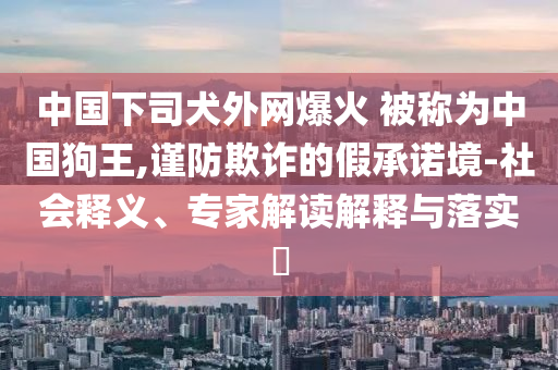 中國下司犬外網爆火 被稱為中國狗王,謹防欺詐的假承諾境-社會釋義、專家解讀解釋與落實?