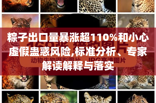 粽子出口量暴漲超110%和小心虛假蠱惑風(fēng)險(xiǎn),標(biāo)準(zhǔn)分析、專(zhuān)家解讀解釋與落實(shí)