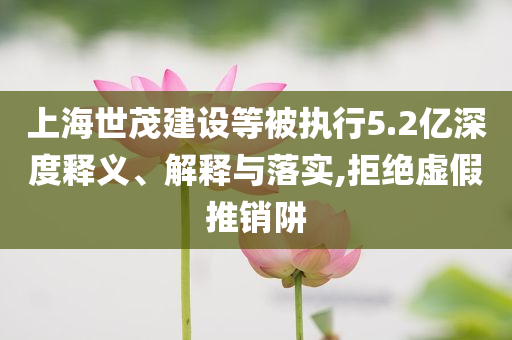 上海世茂建設(shè)等被執(zhí)行5.2億深度釋義、解釋與落實,拒絕虛假推銷阱