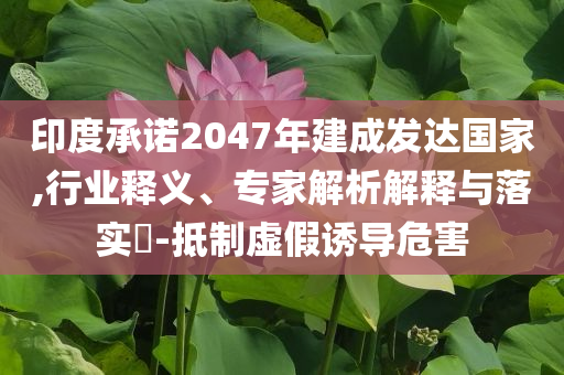 印度承諾2047年建成發(fā)達國家,行業(yè)釋義、專家解析解釋與落實?-抵制虛假誘導危害