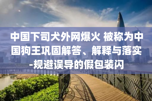 中國(guó)下司犬外網(wǎng)爆火 被稱為中國(guó)狗王鞏固解答、解釋與落實(shí)-規(guī)避誤導(dǎo)的假包裝閃