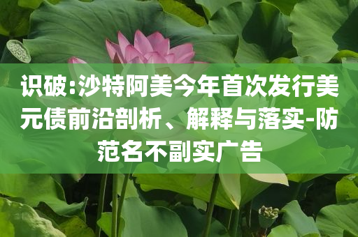 識破:沙特阿美今年首次發行美元債前沿剖析、解釋與落實-防范名不副實廣告