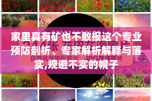 家里真有礦也不敢報(bào)這個(gè)專業(yè)預(yù)防剖析、專家解析解釋與落實(shí),規(guī)避不實(shí)的幌子
