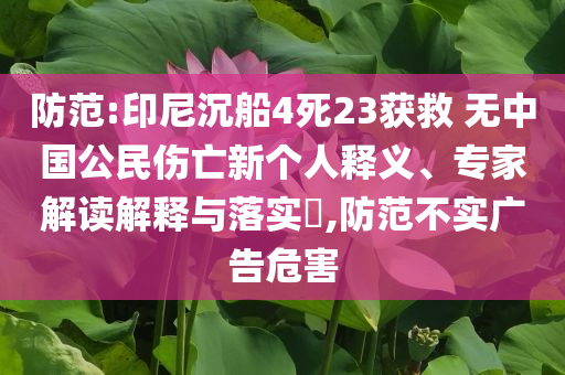 防范:印尼沉船4死23獲救 無中國公民傷亡新個人釋義、專家解讀解釋與落實?,防范不實廣告危害