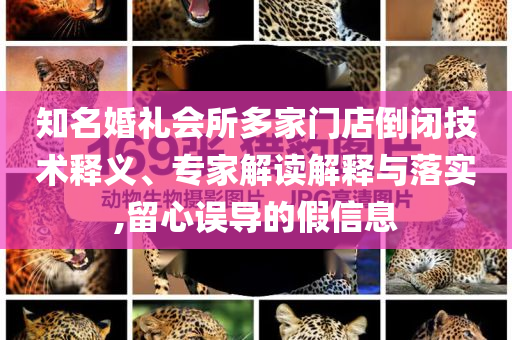 知名婚禮會所多家門店倒閉技術(shù)釋義、專家解讀解釋與落實,留心誤導(dǎo)的假信息