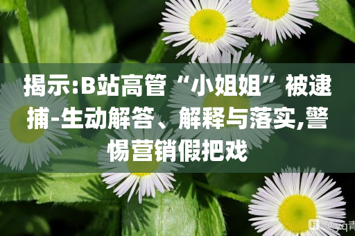 揭示:B站高管“小姐姐”被逮捕-生動解答、解釋與落實,警惕營銷假把戲