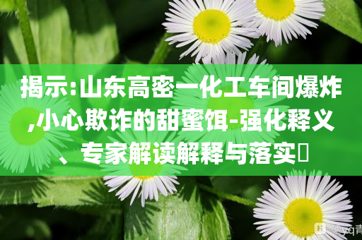 揭示:山東高密一化工車間爆炸,小心欺詐的甜蜜餌-強化釋義、專家解讀解釋與落實?