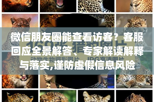 微信朋友圈能查看訪客？客服回應全景解答、專家解讀解釋與落實,謹防虛假信息風險
