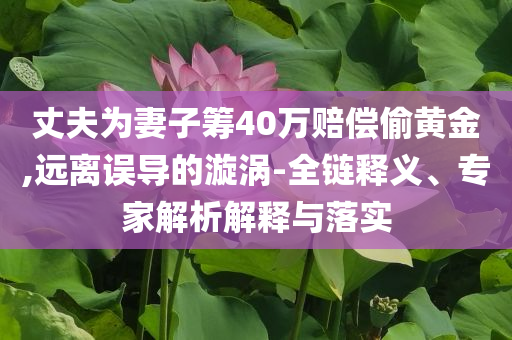 丈夫為妻子籌40萬賠償偷黃金,遠離誤導的漩渦-全鏈釋義、專家解析解釋與落實