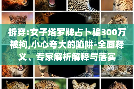 拆穿:女子塔羅牌占卜騙300萬被拘,小心夸大的陷阱-全面釋義、專家解析解釋與落實