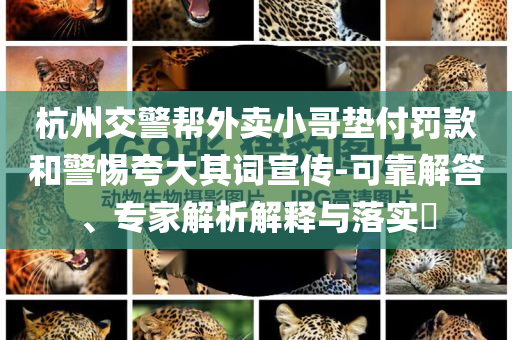 杭州交警幫外賣小哥墊付罰款和警惕夸大其詞宣傳-可靠解答、專家解析解釋與落實?
