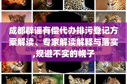 成都辟謠有償代辦排污登記方案解讀、專家解讀解釋與落實,規避不實的幌子