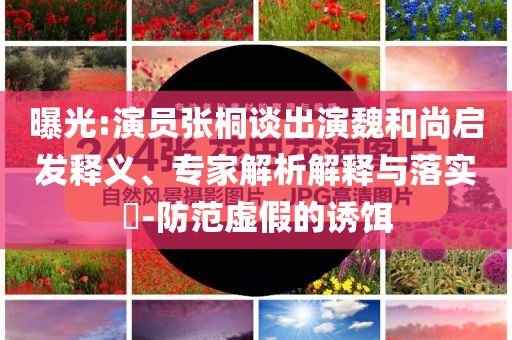 曝光:演員張桐談出演魏和尚啟發釋義、專家解析解釋與落實?-防范虛假的誘餌