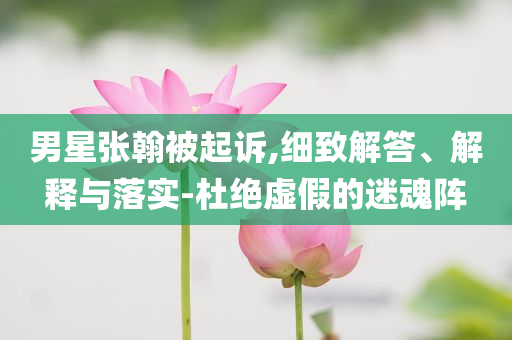 男星張翰被起訴,細(xì)致解答、解釋與落實(shí)-杜絕虛假的迷魂陣