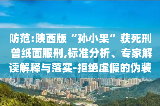 防范:陜西版“孫小果”獲死刑 曾紙面服刑,標準分析、專家解讀解釋與落實-拒絕虛假的偽裝