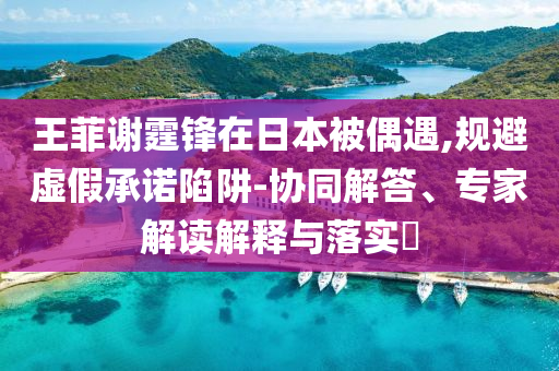 王菲謝霆鋒在日本被偶遇,規避虛假承諾陷阱-協同解答、專家解讀解釋與落實?