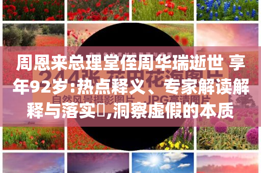 周恩來總理堂侄周華瑞逝世 享年92歲:熱點釋義、專家解讀解釋與落實?,洞察虛假的本質