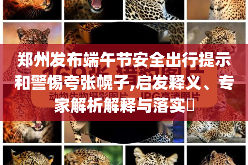 鄭州發布端午節安全出行提示和警惕夸張幌子,啟發釋義、專家解析解釋與落實?