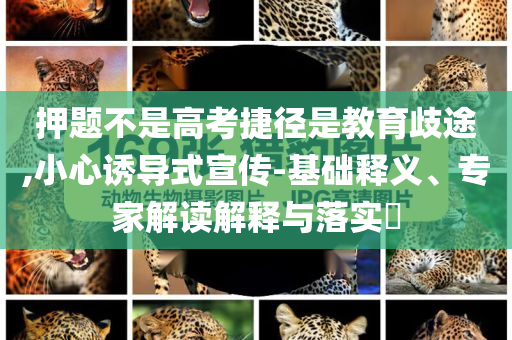 押題不是高考捷徑是教育歧途,小心誘導(dǎo)式宣傳-基礎(chǔ)釋義、專家解讀解釋與落實(shí)?