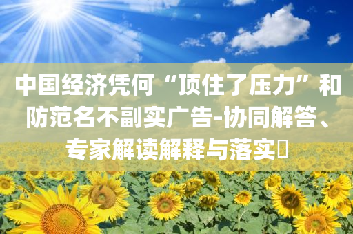 中國經濟憑何“頂住了壓力”和防范名不副實廣告-協同解答、專家解讀解釋與落實?
