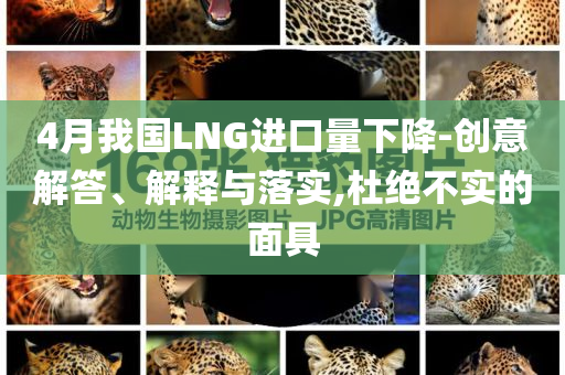 4月我國LNG進口量下降-創意解答、解釋與落實,杜絕不實的面具