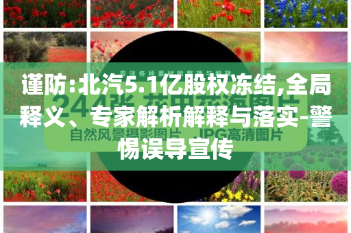 謹(jǐn)防:北汽5.1億股權(quán)凍結(jié),全局釋義、專家解析解釋與落實(shí)-警惕誤導(dǎo)宣傳