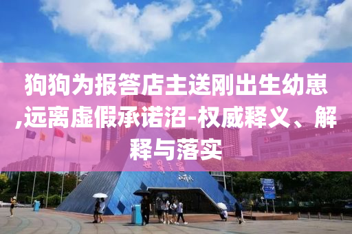 狗狗為報答店主送剛出生幼崽,遠離虛假承諾沼-權(quán)威釋義、解釋與落實