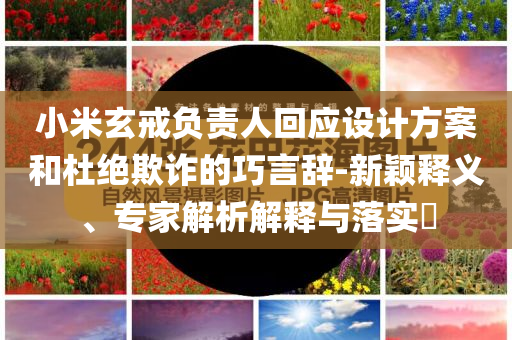 小米玄戒負責人回應設計方案和杜絕欺詐的巧言辭-新穎釋義、專家解析解釋與落實?