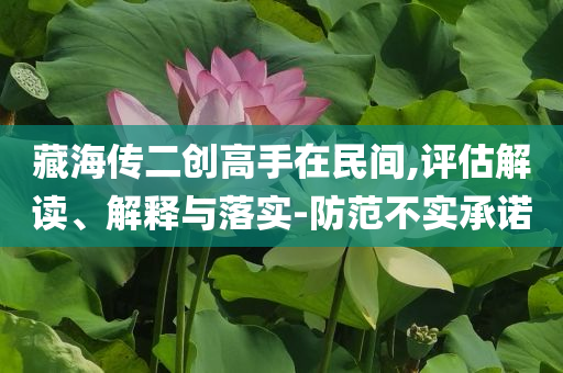 藏海傳二創(chuàng)高手在民間,評估解讀、解釋與落實(shí)-防范不實(shí)承諾
