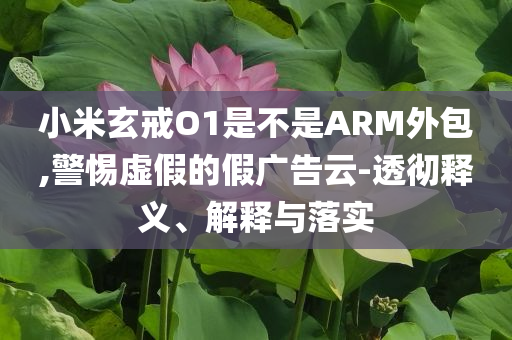 小米玄戒O1是不是ARM外包,警惕虛假的假?gòu)V告云-透徹釋義、解釋與落實(shí)
