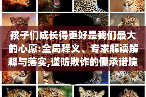 孩子們成長得更好是我們最大的心愿:全局釋義、專家解讀解釋與落實,謹(jǐn)防欺詐的假承諾境