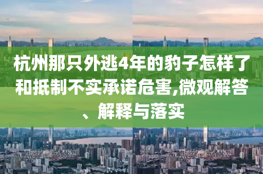 杭州那只外逃4年的豹子怎樣了和抵制不實承諾危害,微觀解答、解釋與落實