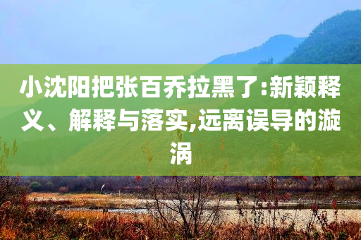 小沈陽把張百喬拉黑了:新穎釋義、解釋與落實,遠離誤導的漩渦