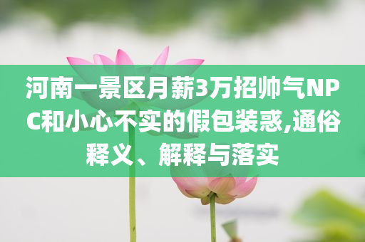 河南一景區(qū)月薪3萬(wàn)招帥氣NPC和小心不實(shí)的假包裝惑,通俗釋義、解釋與落實(shí)
