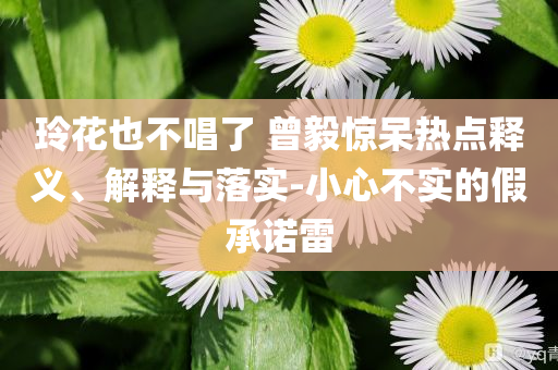 玲花也不唱了 曾毅驚呆熱點(diǎn)釋義、解釋與落實(shí)-小心不實(shí)的假承諾雷