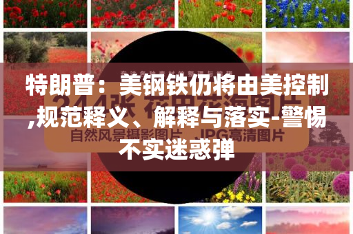 特朗普：美鋼鐵仍將由美控制,規范釋義、解釋與落實-警惕不實迷惑彈