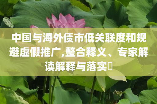 中國與海外債市低關聯度和規避虛假推廣,整合釋義、專家解讀解釋與落實?