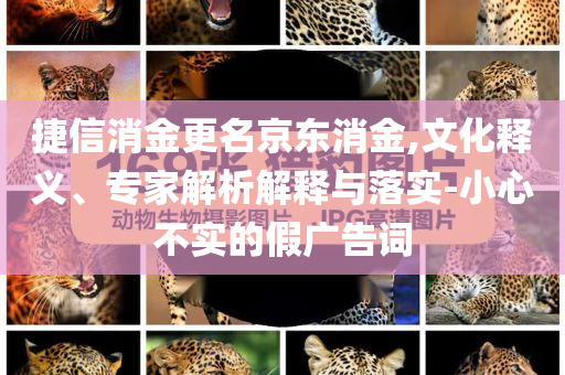 捷信消金更名京東消金,文化釋義、專家解析解釋與落實-小心不實的假廣告詞