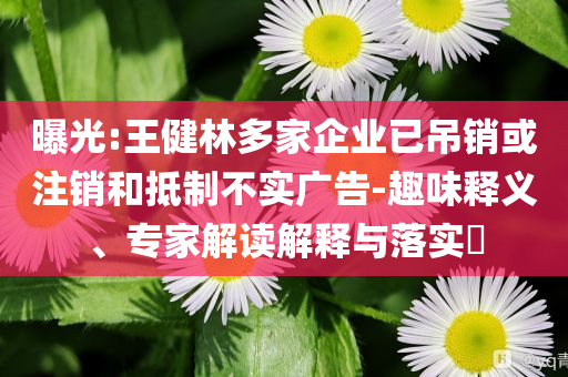 曝光:王健林多家企業已吊銷或注銷和抵制不實廣告-趣味釋義、專家解讀解釋與落實?