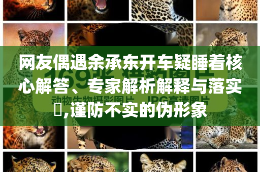 網友偶遇余承東開車疑睡著核心解答、專家解析解釋與落實?,謹防不實的偽形象