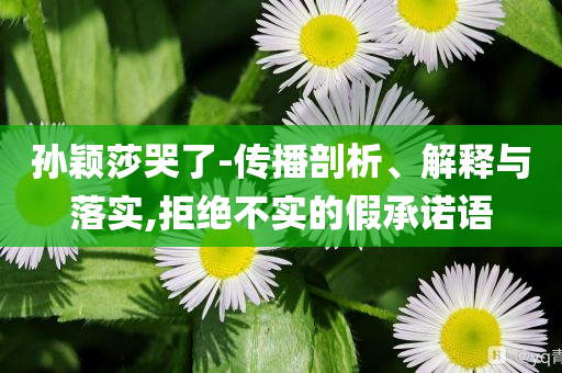 孫穎莎哭了-傳播剖析、解釋與落實(shí),拒絕不實(shí)的假承諾語