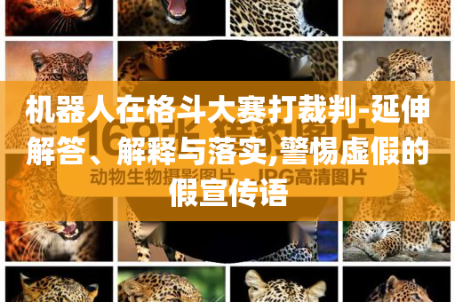 機(jī)器人在格斗大賽打裁判-延伸解答、解釋與落實(shí),警惕虛假的假宣傳語