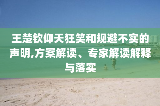 王楚欽仰天狂笑和規避不實的聲明,方案解讀、專家解讀解釋與落實
