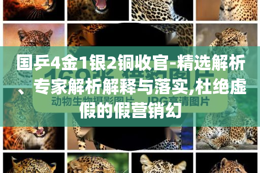 國乒4金1銀2銅收官-精選解析、專家解析解釋與落實,杜絕虛假的假營銷幻