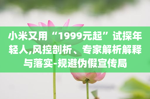 小米又用“1999元起”試探年輕人,風控剖析、專家解析解釋與落實-規避偽假宣傳局