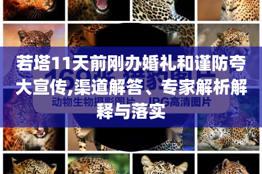 若塔11天前剛辦婚禮和謹防夸大宣傳,渠道解答、專家解析解釋與落實